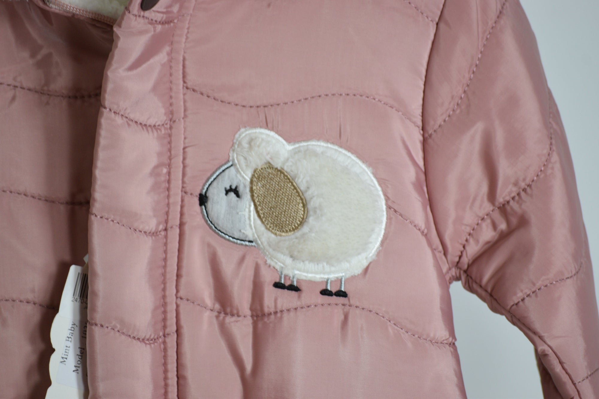 سالوبيت بامب فرو