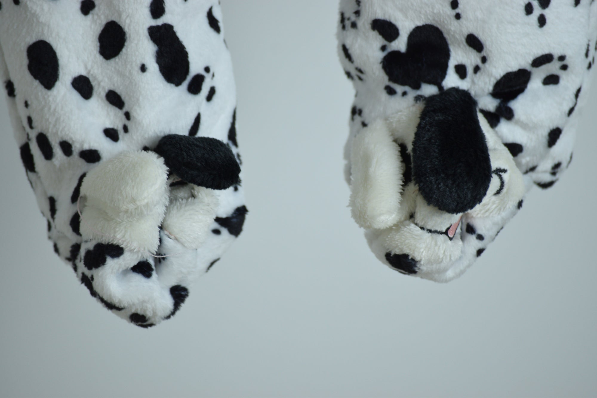 سالوبيت بولار فرو 2506